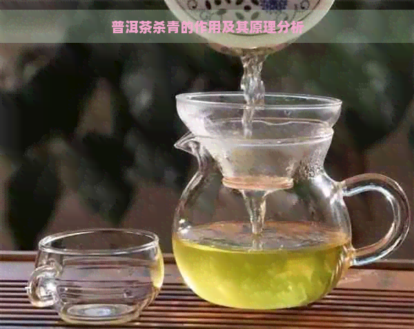 普洱茶杀青的作用及其原理分析