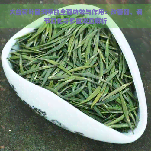 大益荷叶普洱茶的全面功效与作用：改善健、调节消化等多重效益解析