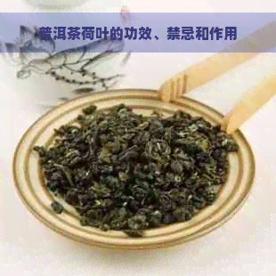 普洱茶荷叶的功效、禁忌和作用