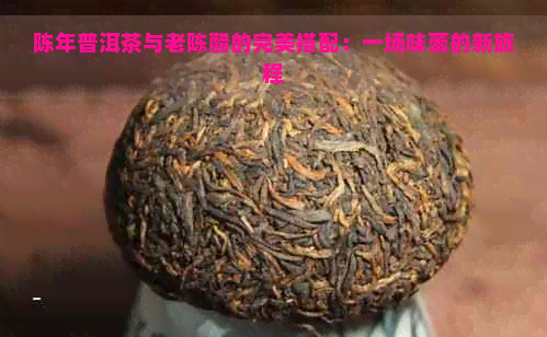 陈年普洱茶与老陈醋的完美搭配：一场味蕾的新旅程