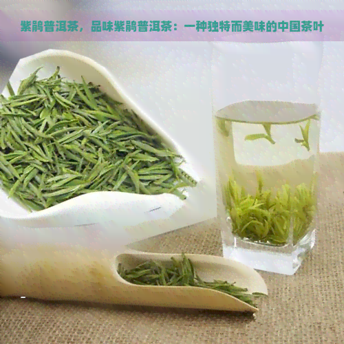 紫鹃普洱茶，品味紫鹃普洱茶：一种独特而美味的中国茶叶