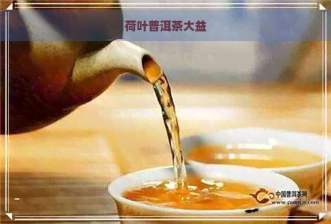 荷叶普洱茶大益