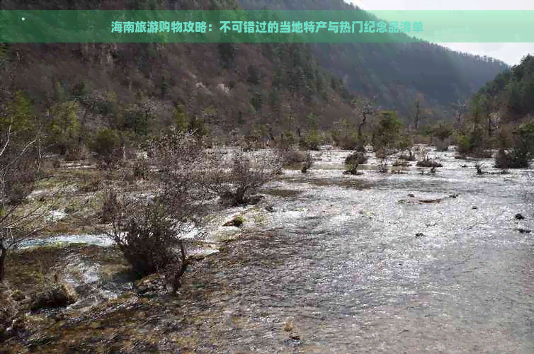 海南旅游购物攻略：不可错过的当地特产与热门纪念品清单