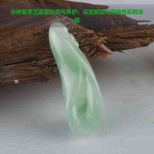 水种紫罗兰翡翠价值与养护：深度解读与保持色彩的关键