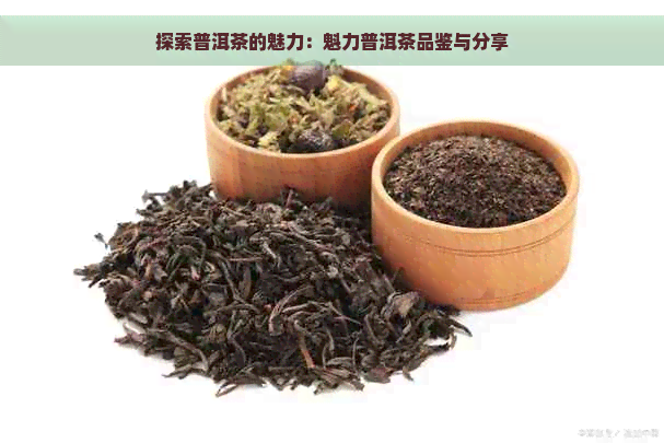 探索普洱茶的魅力：魁力普洱茶品鉴与分享