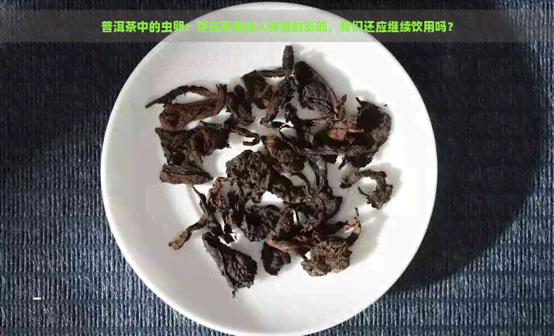 普洱茶中的虫卵：存在及其对人体健的影响，我们还应继续饮用吗？