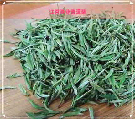 江茗茶业普洱茶