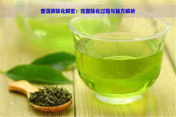 普洱茶陈化解密：完整陈化过程与秘方解析