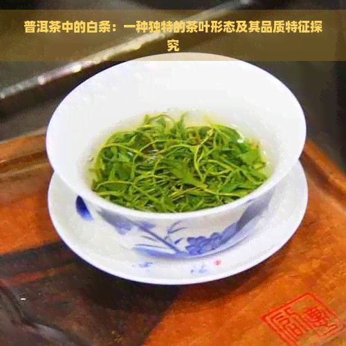 普洱茶中的白条：一种独特的茶叶形态及其品质特征探究