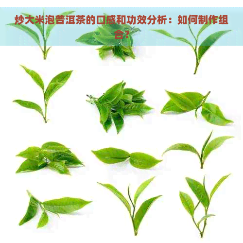 炒大米泡普洱茶的口感和功效分析：如何制作组合？