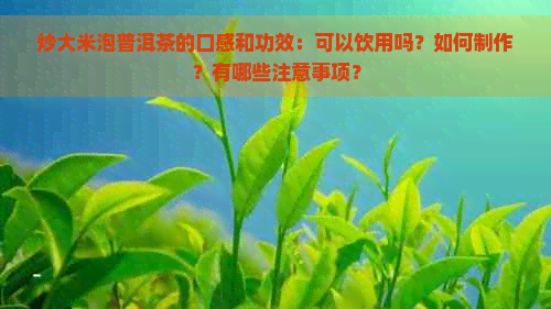 炒大米泡普洱茶的口感和功效：可以饮用吗？如何制作？有哪些注意事项？