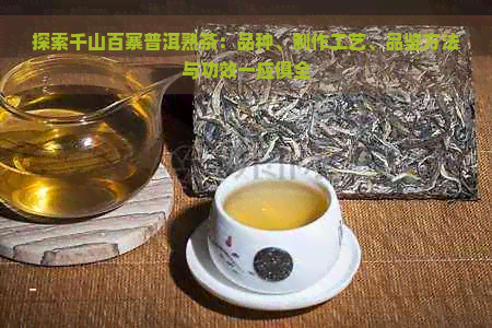 探索千山百寨普洱熟茶：品种、制作工艺、品鉴方法与功效一应俱全