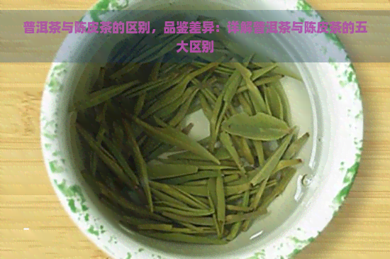 普洱茶与陈皮茶的区别，品鉴差异：详解普洱茶与陈皮茶的五大区别