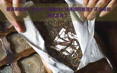 普洱茶发霉了怎么办？能喝吗？味道如何处理？还没泡就感觉发霉了。