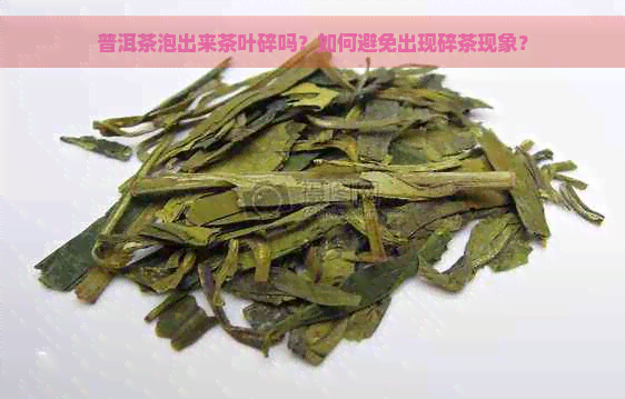 普洱茶泡出来茶叶碎吗？如何避免出现碎茶现象？