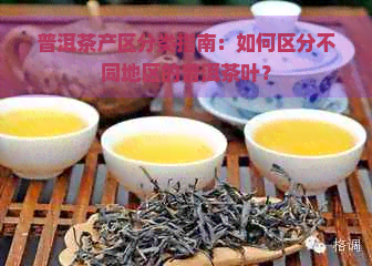 普洱茶产区分类指南：如何区分不同地区的普洱茶叶？