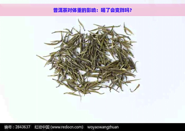 普洱茶对体重的影响：喝了会变胖吗？