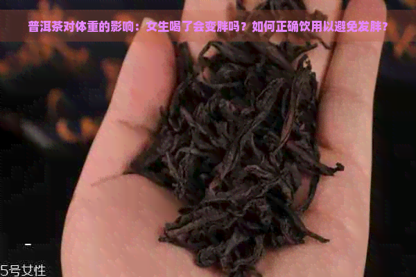 普洱茶对体重的影响：女生喝了会变胖吗？如何正确饮用以避免发胖？