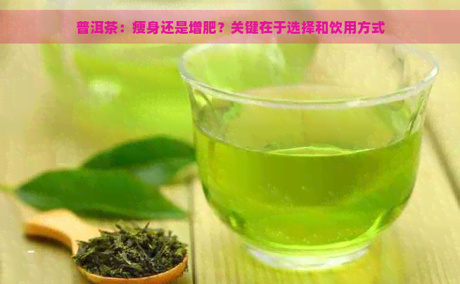 普洱茶：瘦身还是增肥？关键在于选择和饮用方式