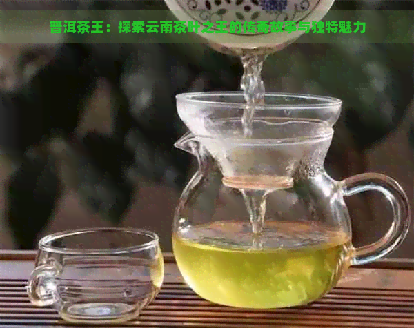 普洱茶王：探索云南茶叶之王的传奇故事与独特魅力