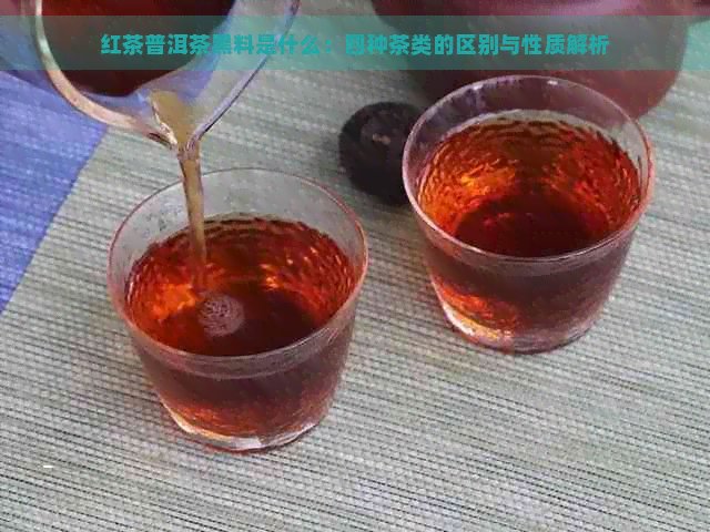 红茶普洱茶黑料是什么：四种茶类的区别与性质解析