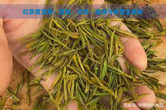 红茶普洱茶：区别、功效、选择与养胃全解析