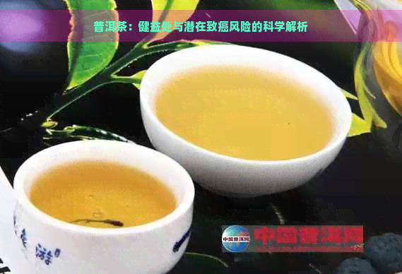 普洱茶：健益处与潜在致癌风险的科学解析