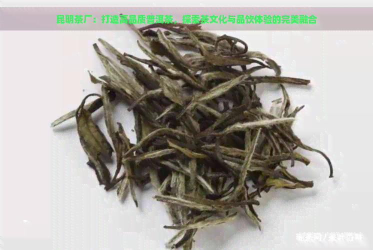 昆明茶厂：打造高品质普洱茶，探索茶文化与品饮体验的完美融合