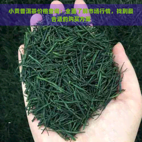 小贡普洱茶价格查询：全面了解市场行情，找到最合适的购买方案