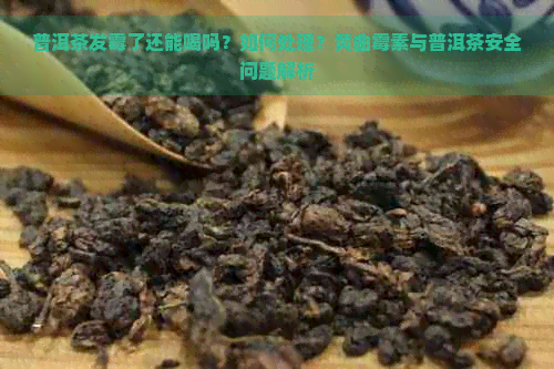 普洱茶发霉了还能喝吗？如何处理？黄曲霉素与普洱茶安全问题解析