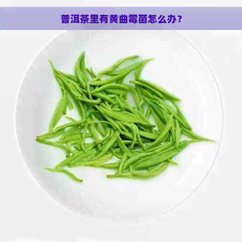 普洱茶里有黄曲霉菌怎么办？