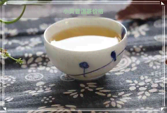 小贡普洱茶价格