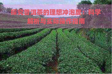 探究普洱茶的理想冲泡度：科学解析与实际操作指南