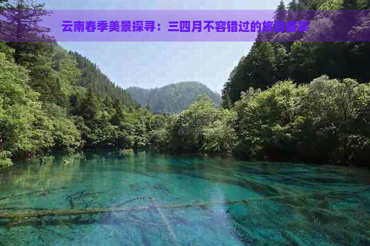 云南春季美景探寻：三四月不容错过的旅游盛宴