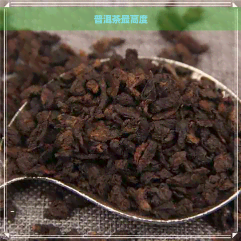 普洱茶更高度