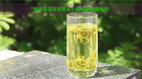 整提普洱茶存多久：喝期和过期判断