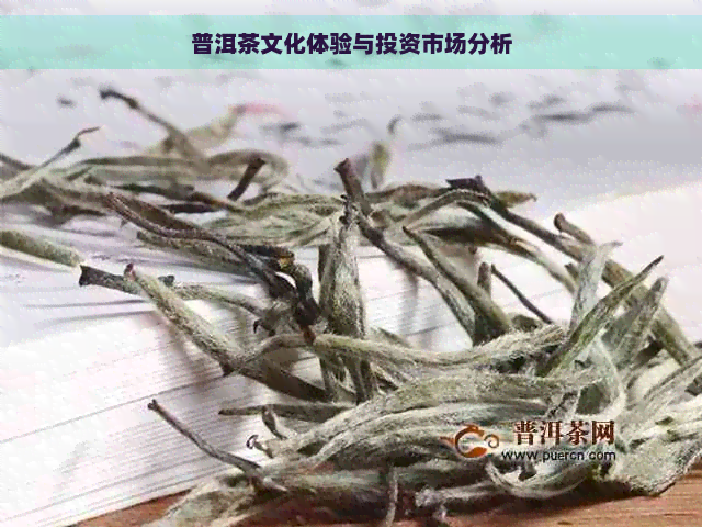 普洱茶文化体验与投资市场分析