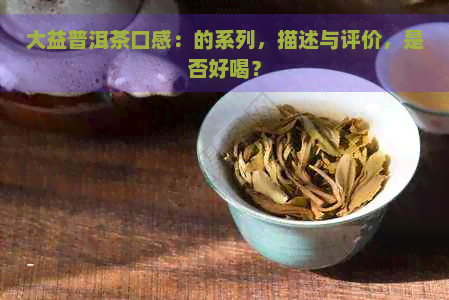 大益普洱茶口感：的系列，描述与评价，是否好喝？