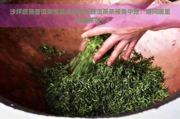 沙坪坝熟普洱茶专卖店及重庆普洱茶茶楼集中地，请问哪里有卖茶叶？