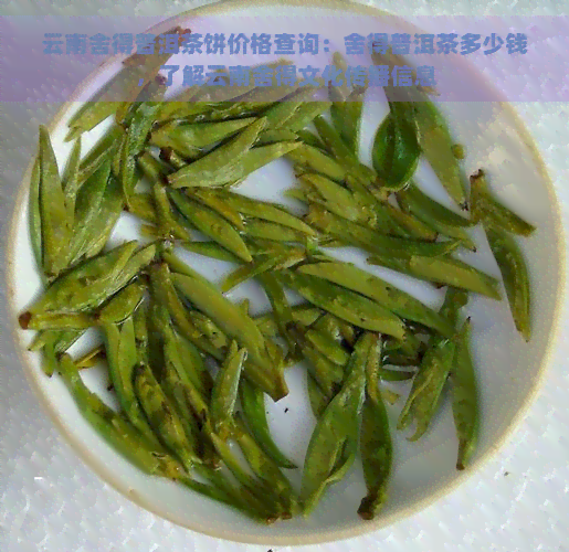 云南舍得普洱茶饼价格查询：舍得普洱茶多少钱，了解云南舍得文化传播信息