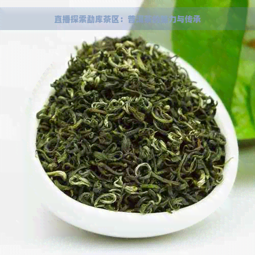 直播探索勐库茶区：普洱茶的魅力与传承