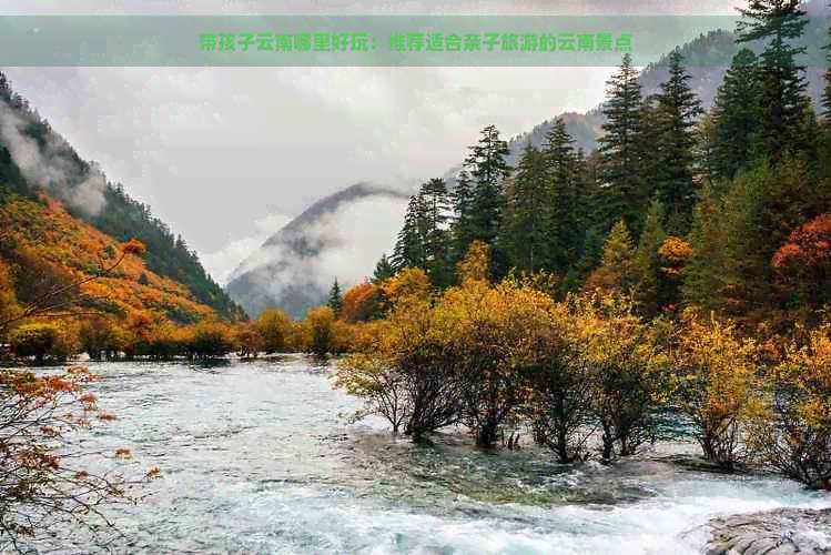 带孩子云南哪里好玩：推荐适合亲子旅游的云南景点