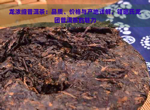 龙浓缩普洱茶：品质、价格与产地详解，领略氏龙团普洱茶的魅力