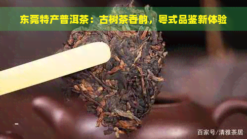 东莞特产普洱茶：古树茶香韵，粤式品鉴新体验