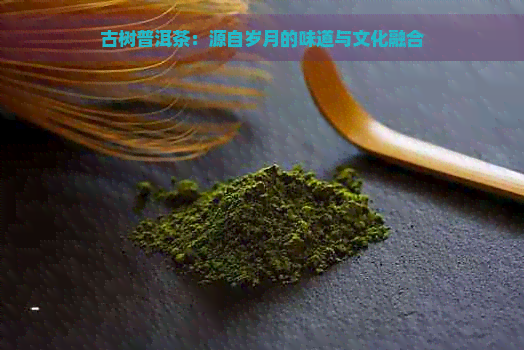 古树普洱茶：源自岁月的味道与文化融合