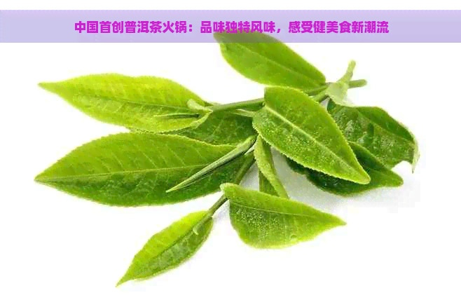 中国首创普洱茶火锅：品味独特风味，感受健美食新潮流