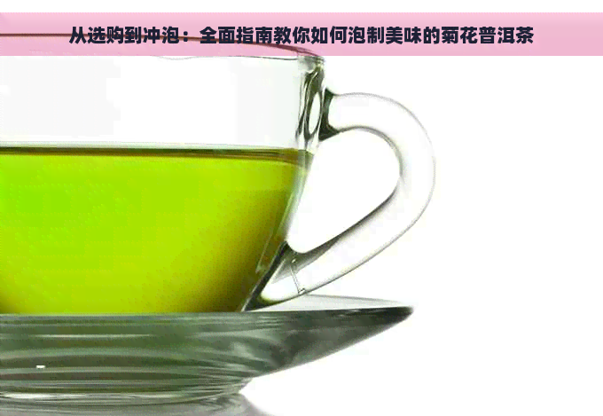 从选购到冲泡：全面指南教你如何泡制美味的菊花普洱茶