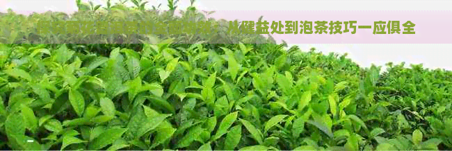 探究菊花普洱茶的全面功效：从健益处到泡茶技巧一应俱全