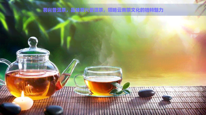 茗兴普洱茶，品味茗兴普洱茶，领略云南茶文化的独特魅力