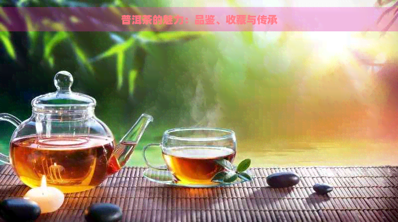 普洱茶的魅力：品鉴、收藏与传承